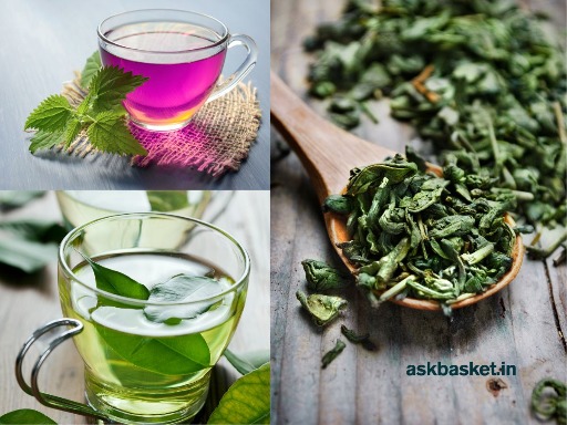 Pink Tea Premium